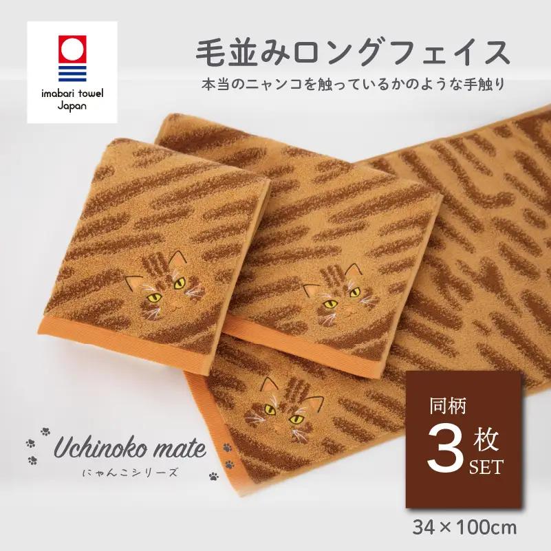 （今治タオル）Uchinoko mate にゃんこシリーズ 毛並みロングフェイスタオル３枚セット（茶トラ／レッドタビー）