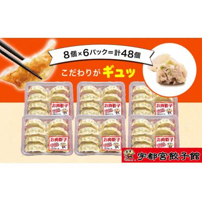 ふるさと納税 宇都宮市 「宇都宮餃子館」のお肉餃子 8個入り×6パック(計48個)