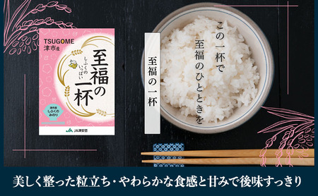 至福の一杯 5kg 令和7年産 米 お米 新米 ご飯 飯 精米 津市 三重県 新品種