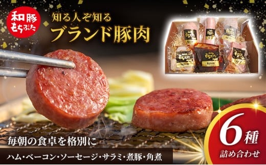 もちぶた 加工肉 6種 詰め合わせ セット ハム ソーセージ 角煮 ベーコン 煮豚 和豚 もち豚 豚肉 ポーク 肉 豚 ぶた ブタ 豚ロース 加工肉 加工品 レトルト レトルト食品 アウトドア キャンプ バーベキュー 冷蔵 宮城