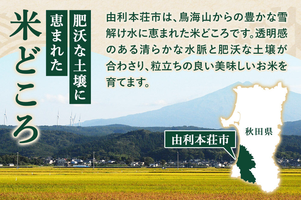 《定期便5ヶ月》令和7年産【白米】特別栽培米 ササニシキ 10kg（5kg×2袋） 秋田県産 [ササニシキ 米 お米 白米 精米 特別栽培米 ブランド米 食卓 秋田県産 秋田県 由利本荘市]