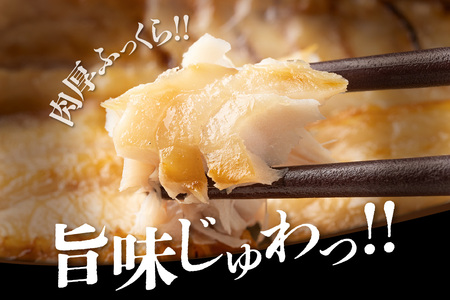 【訳あり品付き】美味しいお魚4種盛り 魚介類 魚 盛り合わせ 詰め合わせ セット のどぐろ 蓮子鯛 アジ 干物 【033_1784】