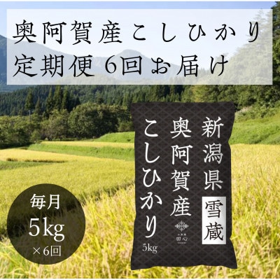 【発送月固定定期便】新潟県奥阿賀産こしひかり 精米 5kg全6回【4077724】