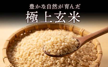 【先行受付】令和7年産新米 コシヒカリ玄米30kg ｜ 米 お米 国産 栃木県 塩谷町 ※2025年12月上旬頃より順次発送予定