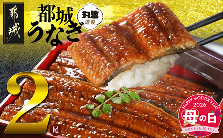 【母の日】宮崎県育ちのうなぎ蒲焼2尾300g以上≪山椒・たれ付≫≪5月7日～10日お届け≫_13-M301-MG_(都城市) うなぎ蒲焼(有頭) 宮崎県産 真空 山椒・たれ付 母の日 ギフト