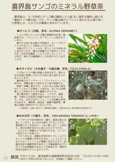 喜界島サンゴのミネラル野草茶「おおはぎ茶」18g(３g×６パック)