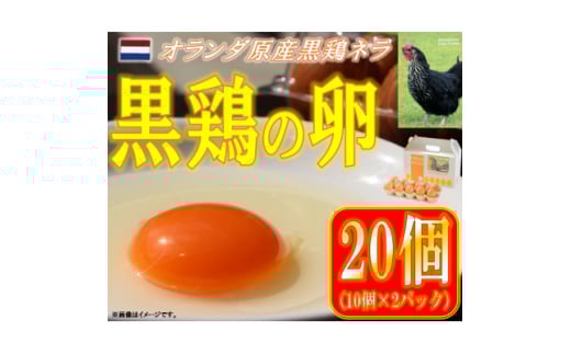 水野谷鶏卵店　黒鶏の卵　20個入り(Mサイズ)【1503066】