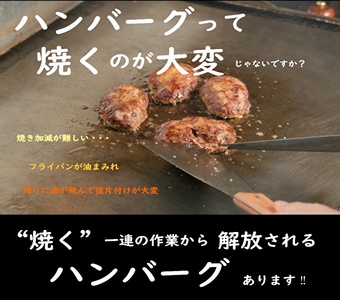 ハンバーグ 4種10個 神戸牛 入り プレミアムハンバーグ 食べ比べ セット