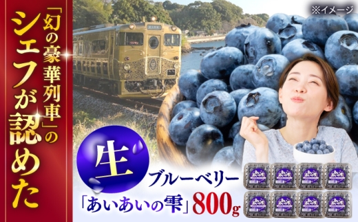 【現在発送中！】生ブルーベリー800gブルーベリー ぶるーべりー ブルーべりー ﾌﾞﾙｰﾍﾞﾘｰ 生ブルーベリー フルーツ 生 の実 摘みたて 朝摘み もぎたて 新鮮 完熟 九州 長崎 佐々町産  2026年 2026 令和8年 発送 お届け アントシアニン ポリフェノール ヨーグルトトッピング アイスクリーム添え ケーキトッピング デザート 生食用 冷蔵便 クール便 小分け QAT022