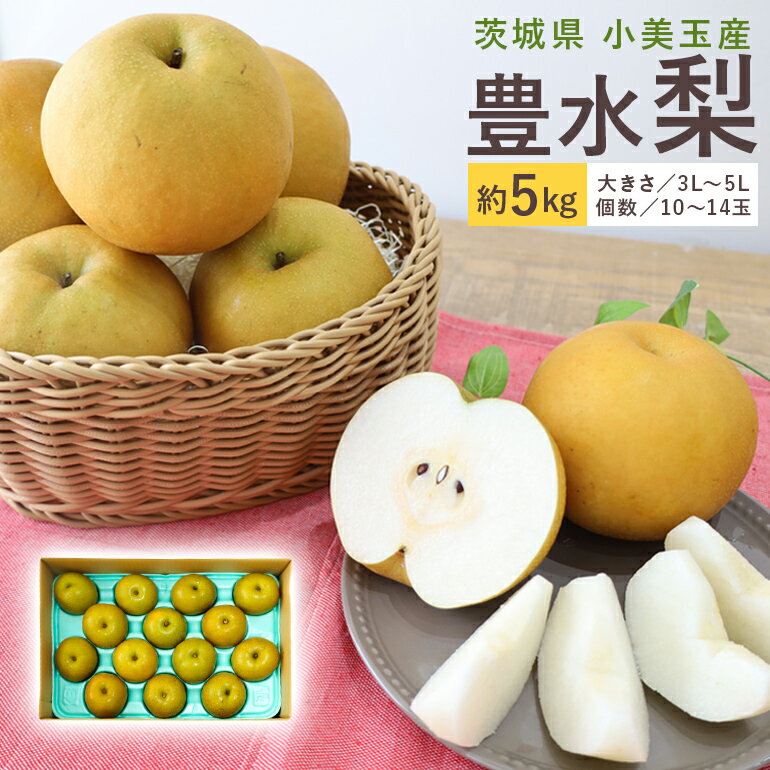 【ふるさと納税】 数量限定 2025年 先行予約 夏季限定 梨（豊水） 約5kg なし ナシ 日本梨 ほうすい ホウスイ 甘い 酸味 ジューシー みずみずしい 【8月下旬〜9月上旬発送予定】
