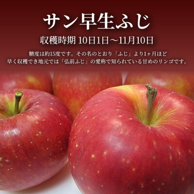 【青森直送 季節の味覚をお届け】サン早生ふじ 3kg×3箱(家庭用)2026年産 産地直送 限定生産【配送不可地域：離島】【1700970】