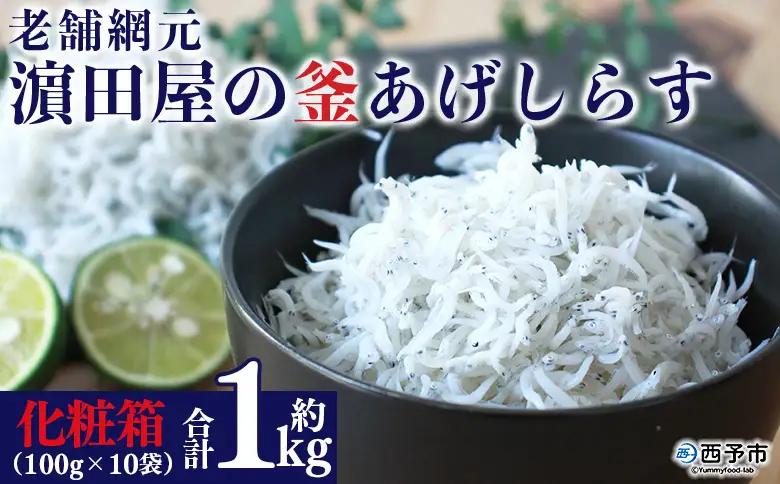 ＜老舗網元 濱田屋の釜あげしらす 計1kg（100g×10袋）＞『1か月以内に順次出荷予定』 減塩 数量限定 化粧箱 簡易包装 選べる 釜揚げ シラス じゃこ 海鮮 海産物 丼 小魚 乾物 小分け カルシウム 国産 マルヨシ水産 愛媛県 西予市【冷凍】 AMS0015