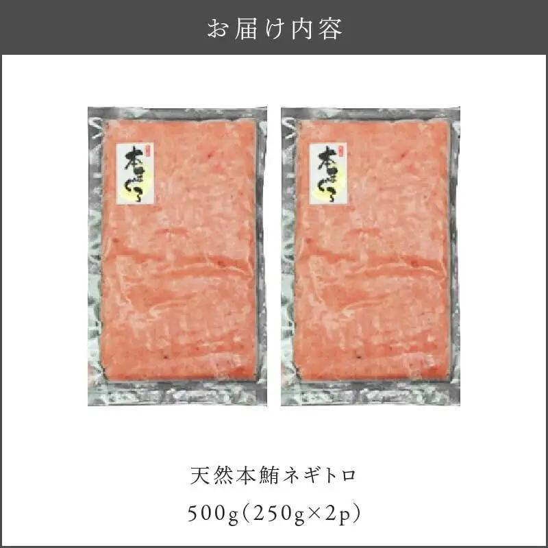 天然 本鮪 ネギトロ 250g×2パック M007-005 冷凍 マグロ