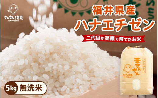 【令和7年産】ハナエチゼン 5kg 華越前 ～坂井市三国町産・こだわりの精米対応～（無洗米） [A-0268_05]
