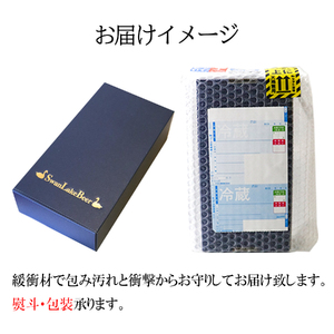 ビール スワンレイクビール 金賞受賞入り こしひかり仕込みビール2本セット 阿賀野市 新潟県 阿賀野 クラフト クラフトビール 地ビール ビール お酒 酒 ギフト プレゼント 贈答 贈り物 お中元 お