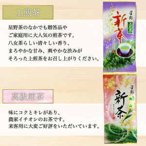 【ふるさと納税】星野村の八女茶 2本セット [a0273] 株式会社 ゼロプラス 【返礼品】添田町 ふるさと納税