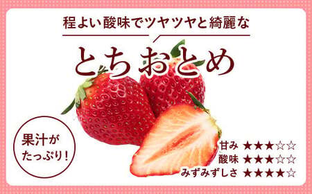 とちあいか600g＆とちおとめ600g 食べ比べセット 計1.2kg 風袋入り ｜ 人気 2品種 食べ比べ 手作り 厳選 農家 特産品 新鮮 フレッシュ ストロベリー 苺 塩谷町 ※2026年12月～