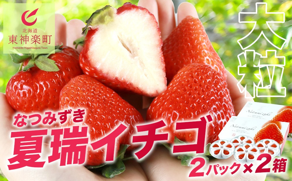 
                  《2027年発送予約》【夏イチゴ】奇跡のひと粒「夏瑞」4パックセット 果物 フルーツ 苺 いちご 国産 北海道産
                