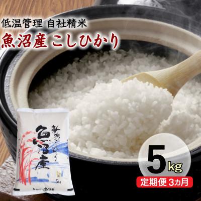 ふるさと納税 十日町市 【毎月定期便】新潟県魚沼産コシヒカリ 厳選 低温管理 自社精米 5kg全3回