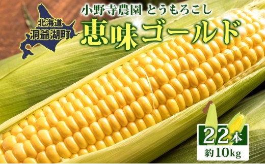 
            北海道 とうもろこし 恵味ゴールド 約10kg 22本入り 2026年8月中旬～末頃お届けトウモロコシ コーン 甘い 産地直送 BBQ とうきび 国産 人気 バーベキュー お取り寄せ 北海道産 洞爺湖町
          