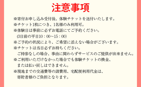 ワークショップ体験チケット（10月～2月使用可能） ／ りんどう ドライフラワー ハンドメイド インテリア ハーバリウム キャンドル クラフト 可愛い かわいい プレゼント おしゃれ 誕生日 贈り物 