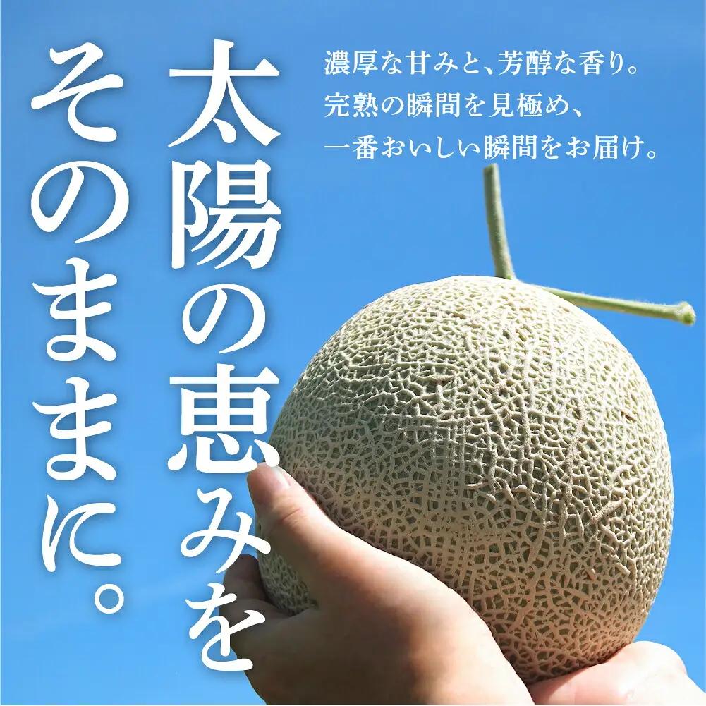 温室マスクメロン 2玉 贈答 豊橋 メロン