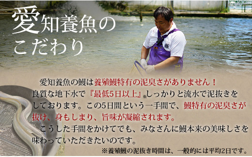 【期間限定】三河産　超特大うなぎ「蒲焼冷凍×2尾」・A090-17