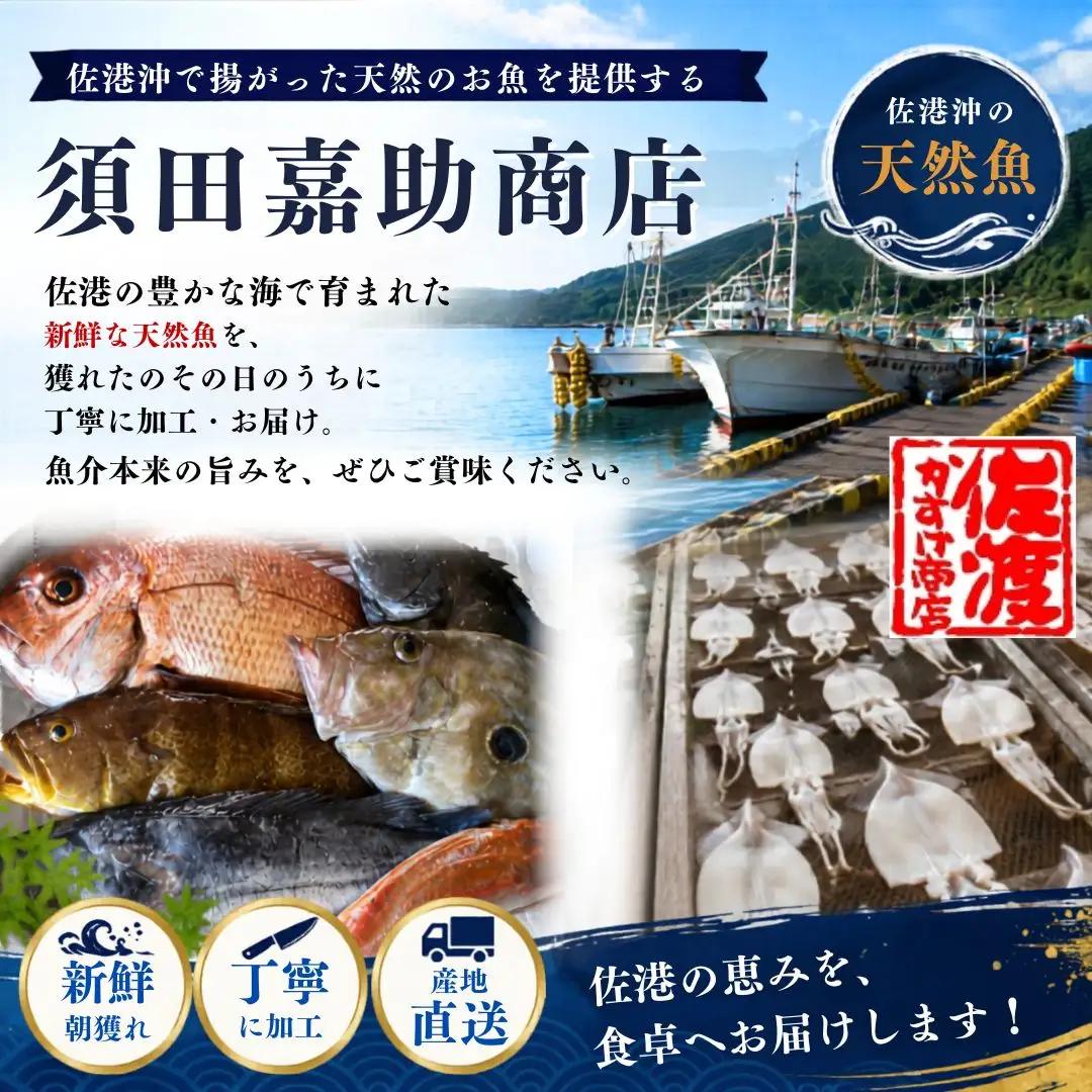 イカ塩辛 130g×4袋 | 無添加 佐渡市いか塩辛