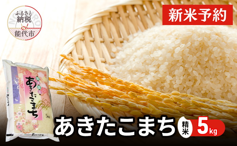 【先行予約】 令和7年産 あきたこまち 精米 5kg 秋田県産 お米 米 ごはん ご飯 単一原料米  