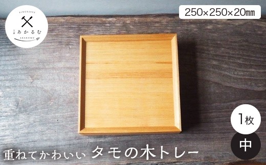 
                  重ねてかわいい タモの木トレー 中 1枚入り FAG-0182
                