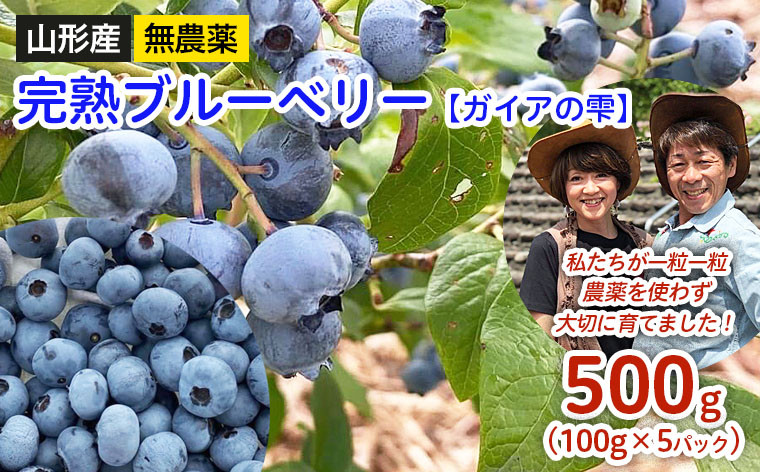 
            山形産 無農薬 完熟ブルーベリー【ガイアの雫】500g(100g×5パック) 【令和7年産先行予約】FS24-500くだもの 果物 フルーツ 山形 山形県 山形市 2025年産
          