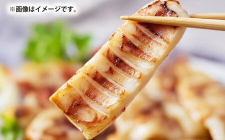 スルメイカ　半日干し 1kg以上 5～7枚《壱岐市》【馬渡水産】[JAQ029]