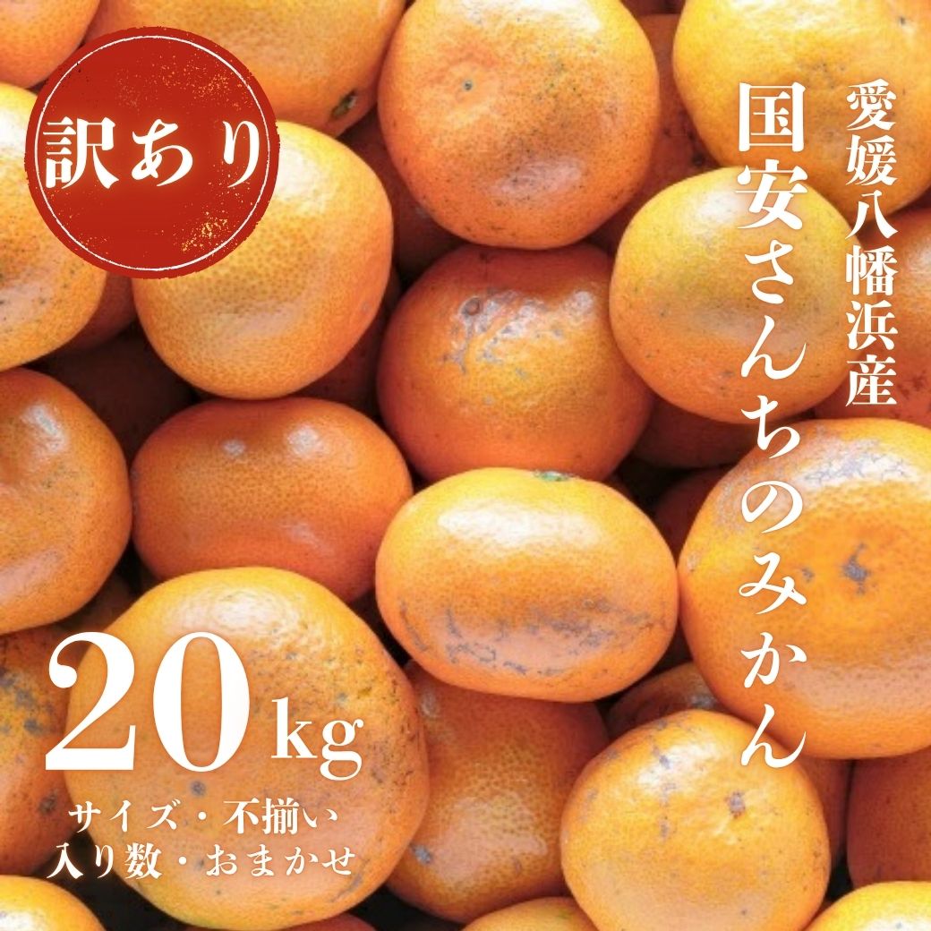 【ふるさと納税】【創業85年 親子4代 愛媛みかん 一筋】訳あり 愛媛みかん 20kg【H20-82】_【1623264】 YWTI077
