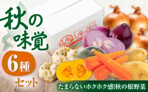 【11月上旬以降順次発送】【ニセコ町産】秋のうまいもん 6種セット《喜茂別町》【ニセコビュープラザ直売会協同組合】 先行予約 セット 詰め合わせ 秋野菜　冬野菜 季節の野菜 たまねぎ じゃがいも 北海