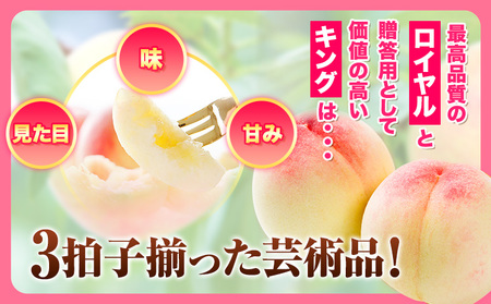 岡山の桃 秀品 約1.5kg (5~9玉前後) 《6月下旬-9月上旬頃出荷》 ｜ 桃桃桃桃桃