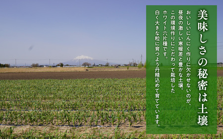 2025年産　出荷予定：7月下旬～2/28【青森県平川市小和森産】平川ホワイト SS 約5kg