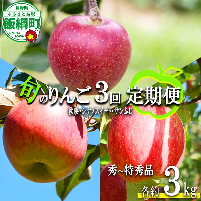 【ふるさと納税】 旬のりんご 【 定期便 】 秀〜特秀 3kg × 3回 丸山りんご園 沖縄県への配送不可 令和8年度収穫分 長野県 飯綱町 〔 信州 果物 フルーツ リンゴ 林檎 長野 予約 農家直送 〕発送期間：2026年10月上旬〜2026年12月下旬