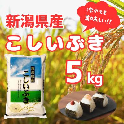 ふるさと納税 阿賀野市 【令和7年産】新潟産 こしいぶき 5kg 白米 精米