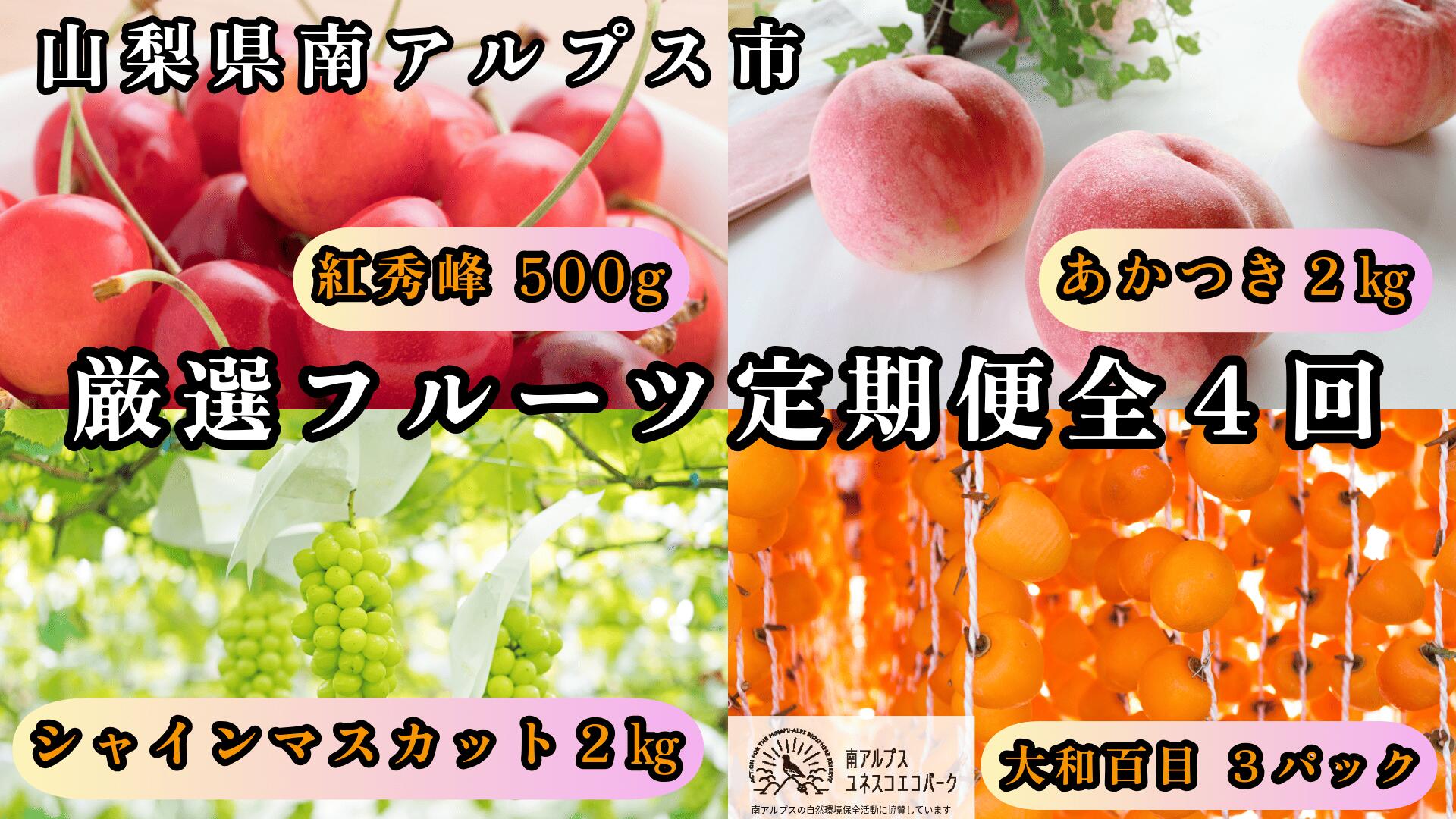 【ふるさと納税】＜2026年発送先行予約＞山梨県南アルプス市産 厳選フルーツ定期便全4回B(さくらんぼ・桃・シャインマスカット2kg・あんぽ柿) ふるさと納税 サクランボ シャイン 定期便 果物 フルーツ おすすめ 山梨県 南アルプス市 送料無料 ALPEM016