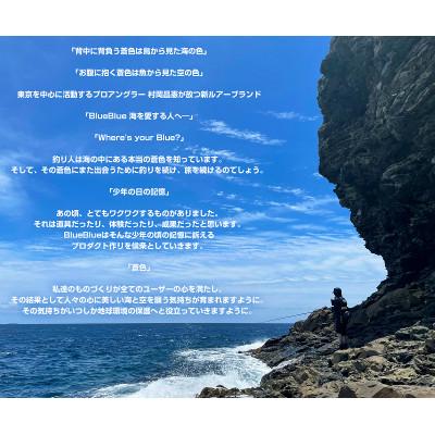 ふるさと納税 館山市 ブルーブルールアーBlooowin!110Jびわグロー ふるさと納税限定カラー |  | 02