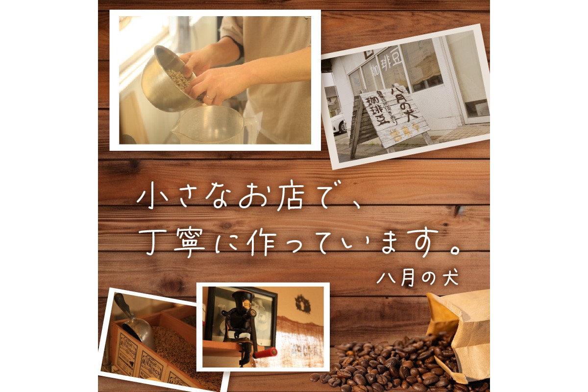 【栽培期間中農薬不使用】自家焙煎コーヒー豆　お試しセット（100gx3種）八月の犬　珈琲豆　ドリップ　飲み比べ　コホペ　HA00016