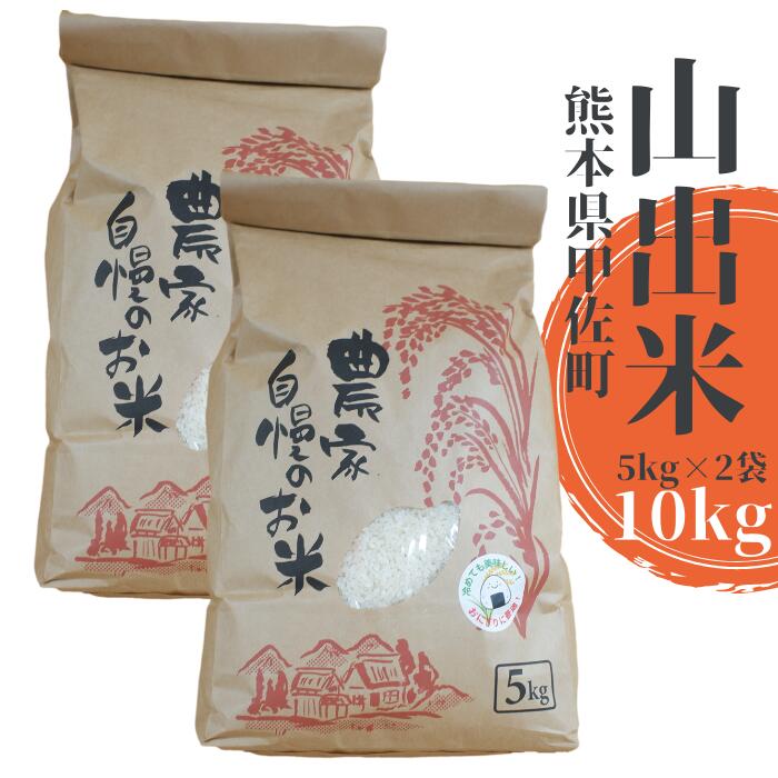 【ふるさと納税】【新米先行受付】甲佐町産　山出米10kg（5kg×2袋） - 令和7年11月以降順次発送 新米 令和7年産 精米 お米 米 しっとり もちもち 甘み おにぎり ごはん 複数原料米 国産 九州産 熊本県 熊本県産 甲佐町【価格改定ZA】