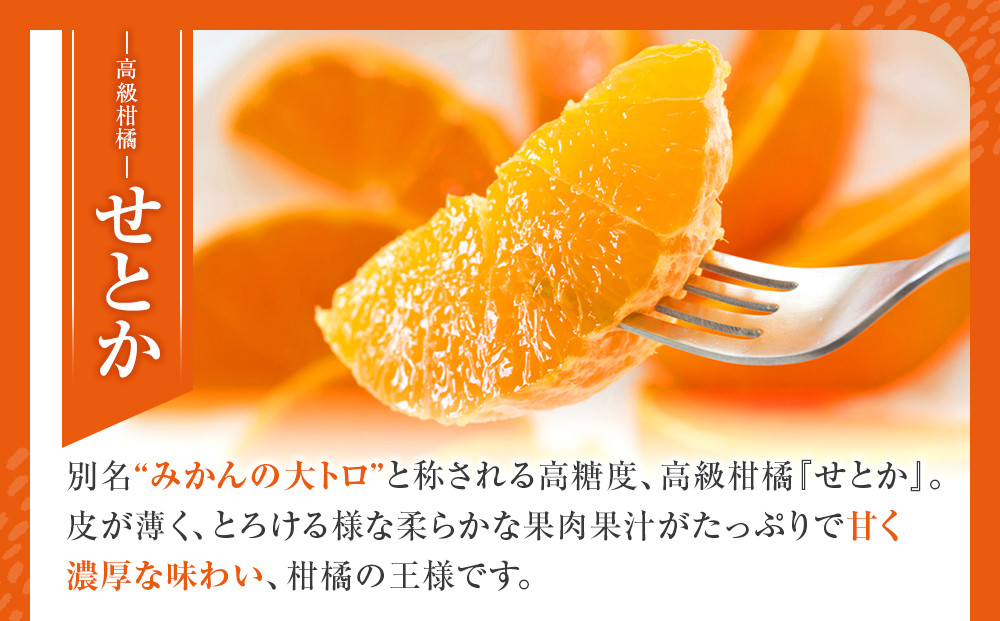 みかん の大トロ せとか 1500g 訳あり ブランド 和歌山 有田みかん 農家直送 オレンジ フルーツ 果物