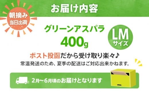 数量限定 先行予約 アスパラガス LM 400g【2月〜6月お届け】｜朝採り 朝採れ 直送 グリーンアスパラガス アスパラ BT12