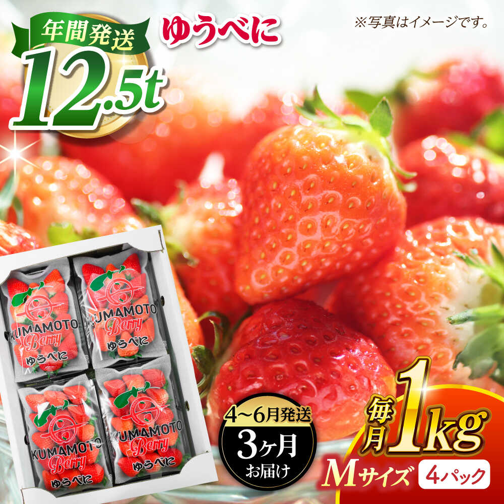 【ふるさと納税】《3月より発送開始》 【3回定期便】 いちご Mサイズ ゆうべに 1kg（4pc）【熊本ベリー】[ZER022]