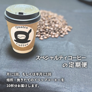 【６回定期便】【半月に１回】自家焙煎スペシャルティコーヒー 15杯分 ドリップバッグ 12g×15個×6回 ドリップコーヒー 珈琲 2週間に1回 合計6回 3ヶ月