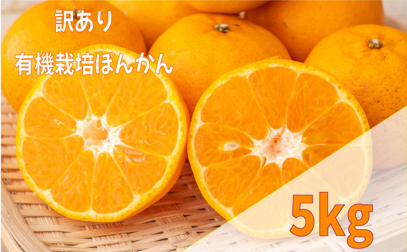 【早期予約 2025年2月上旬より順次発送】 【有機JAS認定】有機ぽんかん L・2Lサイズ混合 5kg