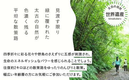 金作原 散策 ツアー A183-001 散策ツアー アウトドア 自然 観光 観光スポット チケット 体験チケット 金作原原生林 原生林 散策路 四季 花 野鳥 昆虫 ゆったり のんびり 注目 アマミュ