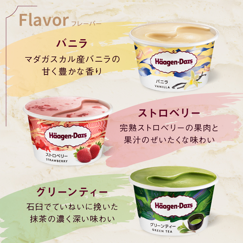 【着日指定できます】ハーゲンダッツ『ミニカップ12個セット（定番フレーバー＆新商品 ガナッシュショコラ）』アイスクリーム アイス スイーツ デザート_H0016-114