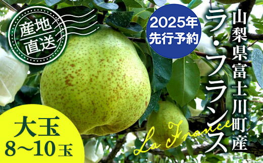 【ふるさと納税】【2025年発送分 先行予約】 ラ・フランス 大玉 8～10玉 (約4kg) ※2025年10月中旬以降発送予定　洋ナシ 洋梨 フルーツ 果物 富士川町